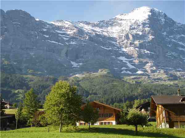 Ferienwohnung Asterix , Grindelwald, Jungfrauregion, Berner Oberland, Schweiz, Bild 3