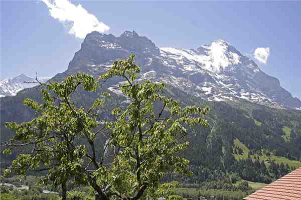 Ferienwohnung Chalet Chessibach 1, Grindelwald, Jungfrauregion, Berner Oberland, Schweiz, Bild 5