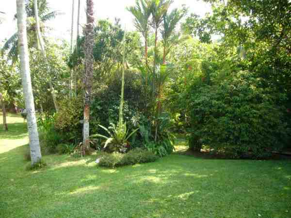 Ferienhaus Villa Anna Resort - Villa Water Lily, Beruwala, , Westküste - Sri Lanka, Sri Lanka, Bild 5