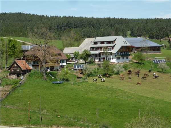 Ferienwohnung Mooshof - Wohnung 2, Schramberg-Tennenbronn, Schwarzwald, Baden-Württemberg, Deutschland, Bild 1