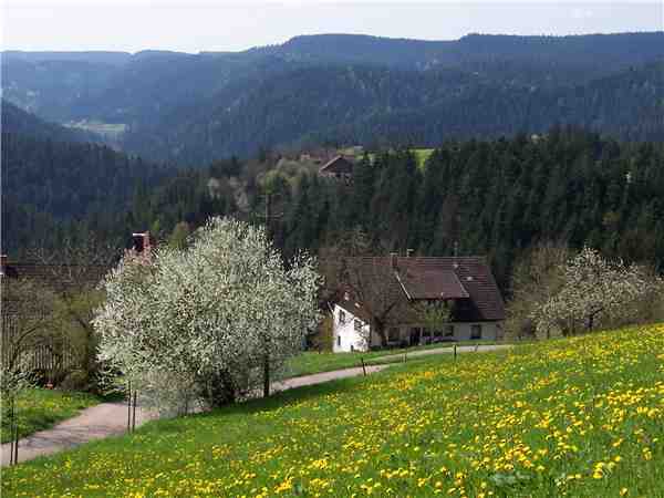 Ferienwohnung Ferienwohnungen auf dem Hansjörgenhof, Schiltach, Schwarzwald, Baden-Württemberg, Deutschland, Bild 1