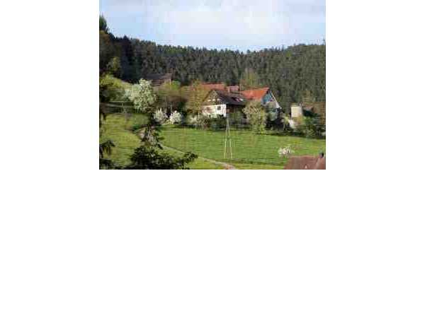 Ferienwohnung Ferienwohnungen auf dem Hansjörgenhof, Schiltach, Schwarzwald, Baden-Württemberg, Deutschland, Bild 2