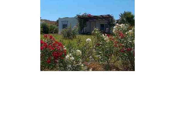 Ferienhaus Villa Kos, Mastichari, Kos, Ägäische Inseln, Griechenland, Bild 1