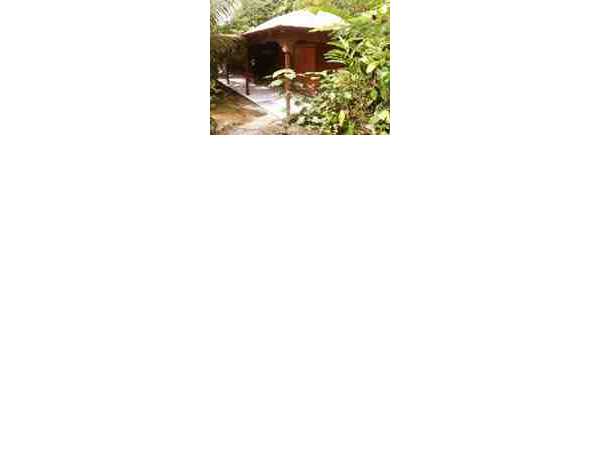 Ferienhaus Gwo Caillou - Bungalows, Pigeon, Basse-Terre, Guadeloupe, Karibische Inseln, Bild 2