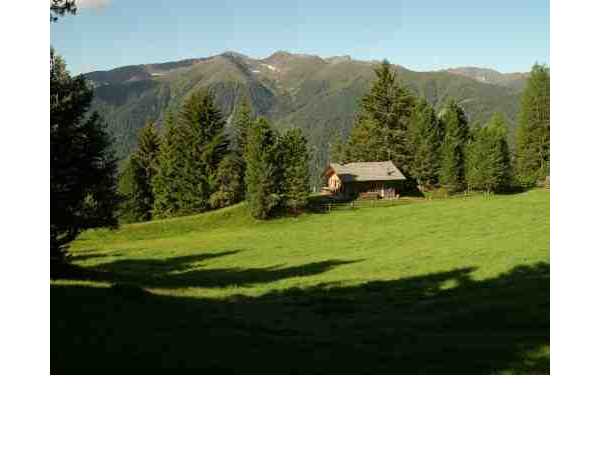 Ferienhaus Almidyll Goldra Plandl, Lüsen, Dolomiten, Trentino-Südtirol, Italien, Bild 1