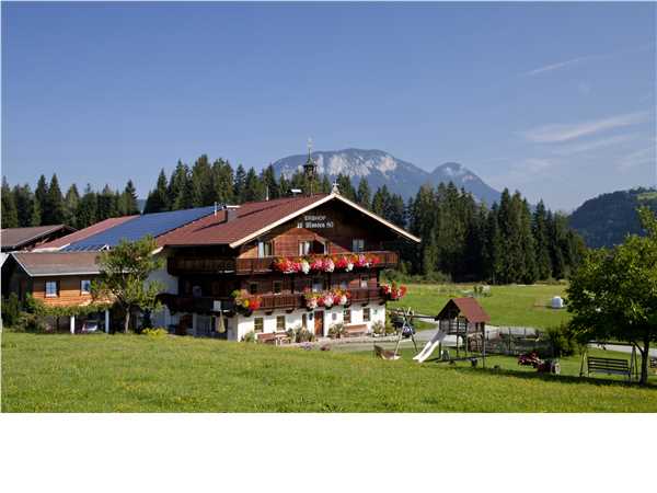 Ferienhaus 'Bio-Bauernhof Moosen - FeWo Alpenrose' im Ort Hopfgarten im Brixental