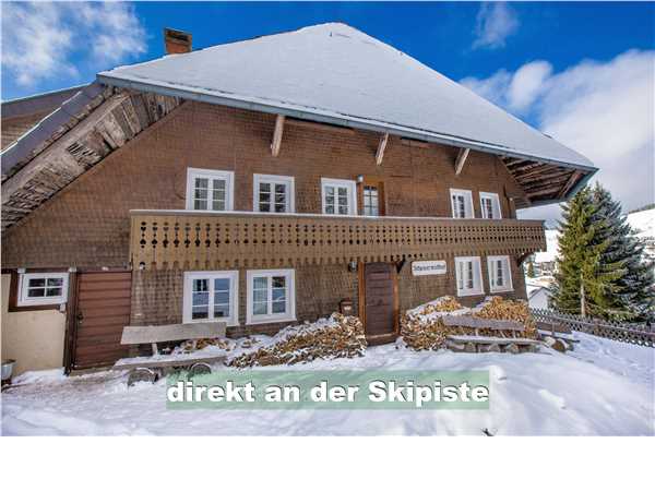 Ferienwohnung im Skigebiet - Kamin, Aussicht, Todtnauberg, Schwarzwald, Baden-Württemberg, Deutschland, Bild 3