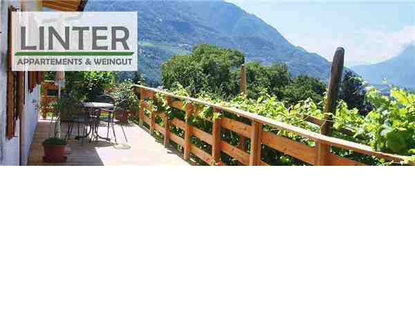 Ferienwohnung Appartements & Weingut Linter, Meran, Meran, Trentino-Südtirol, Italien, Bild 4