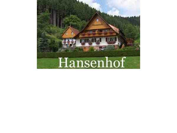 Ferienwohnung 'Hansenhof' im Ort Bad Rippoldsau-Schapbach