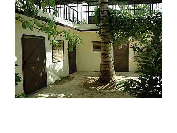 Ferienhaus 'Jardin de Hany' im Ort Boca Chica