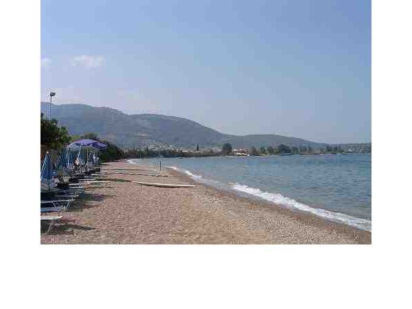 Ferienwohnung Gabi - Appartement 2, Achaia Epidavros, Argolis, Peloponnes, Griechenland, Bild 5