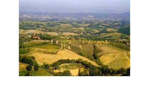 Ferienwohnung La Collina, San Gimignano, Florenz - Chianti - Mugello, Toskana, Italien, Bild 5