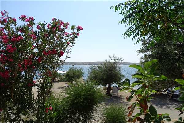 Ferienwohnung Apartments Vivien, Kustici, Insel Pag, Dalmatien, Kroatien, Bild 3