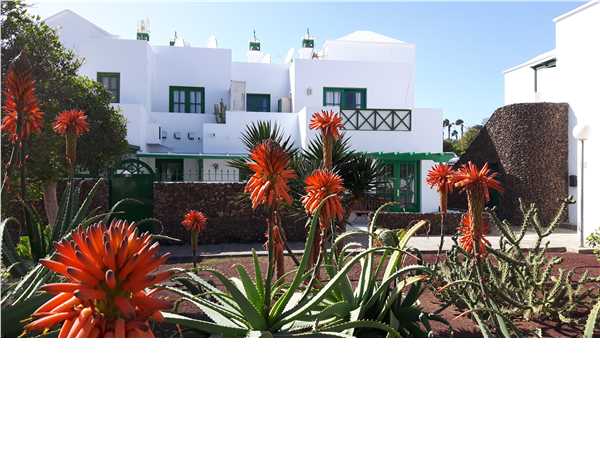 Ferienwohnung 'Marcastell' im Ort Playa Blanca
