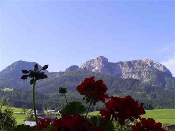 Ferienwohnung Landhaus Hirterhütte Familie Gsenger , Abtenau, Lammertal - Dachstein West, Salzburg, Österreich, Bild 2