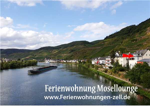 Ferienwohnung Ferienwohnung Moselflair, Zell Mosel, Mosel-Saar, Rheinland-Pfalz, Deutschland, Bild 8