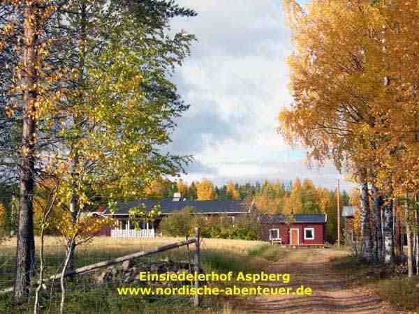 Ferienhaus Blockhütte mit Kamin, Sauna, Lansjärv, Lappland, Nordschweden, Schweden, Bild 1
