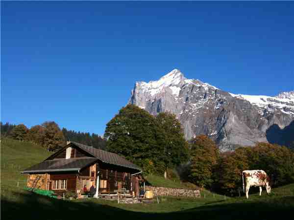 Ferienhaus 'Alphütte' im Ort Grindelwald