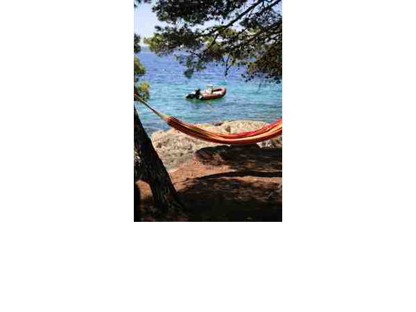 Ferienwohnung Pine Beach, Pakostane, Zadar, Dalmatien, Kroatien, Bild 2