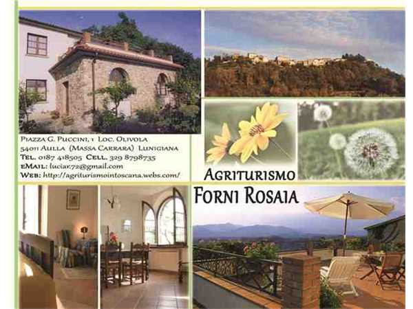 Ferienwohnung 'Agriturismo Forni Rosaia' im Ort Aulla