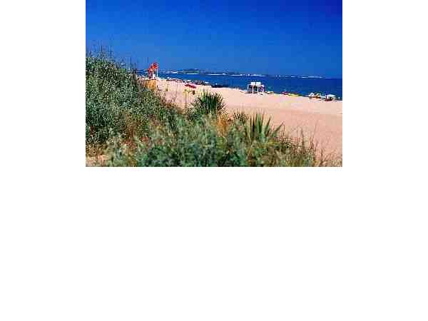Ferienhaus Lisa - direkt am Meer, Portiragnes - Plage, , Languedoc-Roussillon, Frankreich, Bild 3
