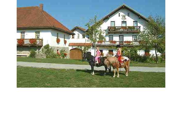 Ferienwohnung 'Bauernhof Gründinger' im Ort Büchlberg