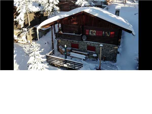 Ferienhaus 'Alpenchalet Plose' im Ort Brixen