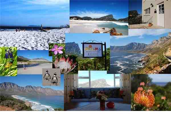 Ferienhaus Dreams, Pringle Bay, Overberg, Westkap, Südafrika, Bild 1