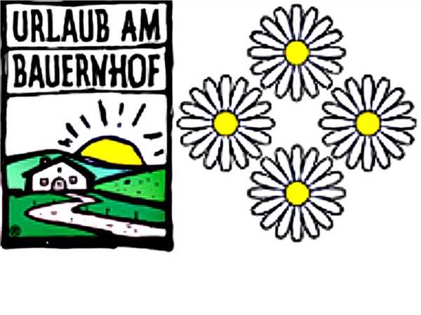 Ferienwohnung Bio-Bauernhof Moosen - FeWo Hohe Salve, Hopfgarten im Brixental, Kitzbüheler Alpen, Tirol, Österreich, Bild 8