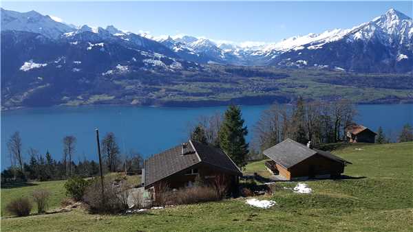Ferienhaus Chalet Haueti, Beatenberg, Thunersee - Brienzersee, Berner Oberland, Schweiz, Bild 1